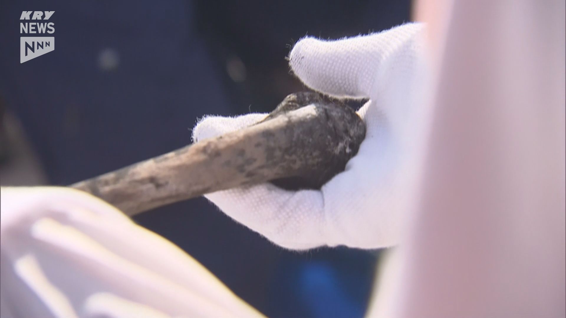 山口・宇部】183人が海に取り残されたままの旧長生炭鉱…大腿骨か？人の