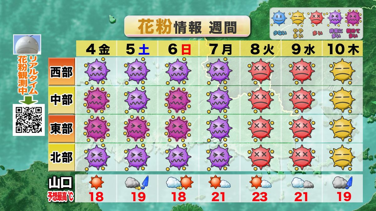 【山口天気 夕刊4/3】サクラ花盛りはヒノキ花粉飛散ピーク…週末にかけて花見は万全の花粉対策を あす4日(金)は快晴も 土曜午後は一部雨の可能性