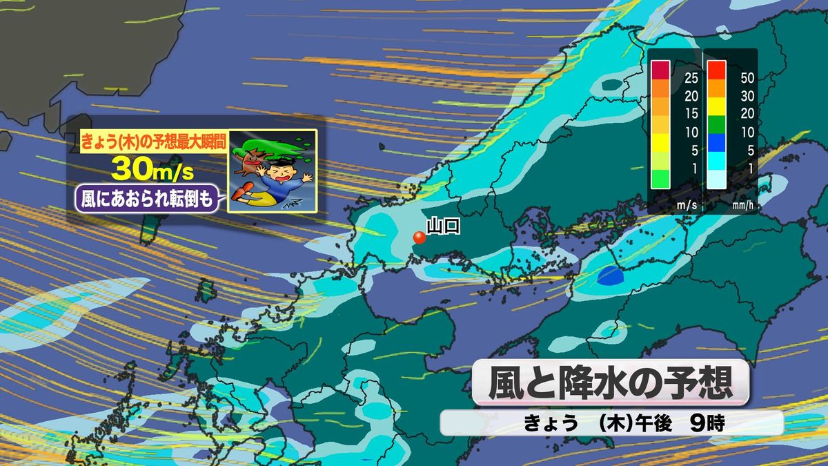 風と降水の予想