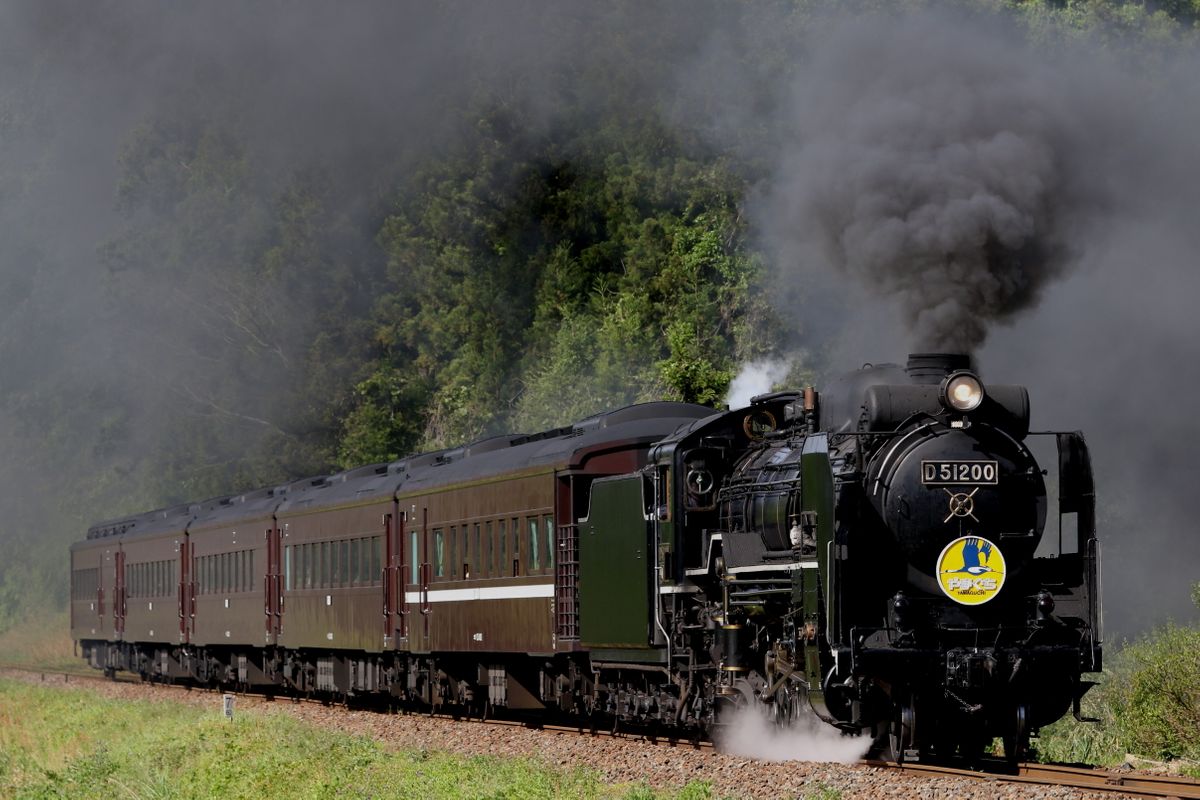 SLやまぐち号】D51蒸気機関車の修理完了！通常運行へ復帰・原因は軸と