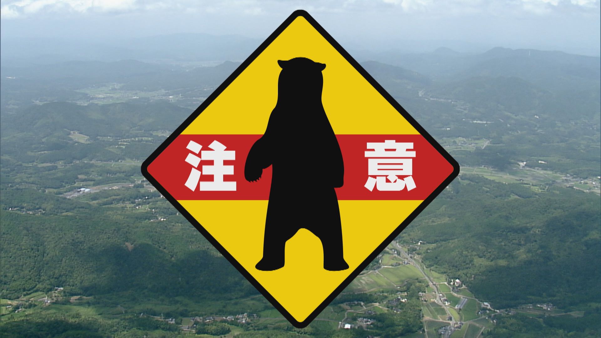 クマにカキの実が食べられ木の幹に爪痕が～岩国市玖珂町～警察などが