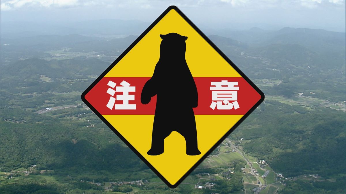 クマ2頭が道路を横断…体長は50センチほど　山口市仁保中郷でクマの目撃情報