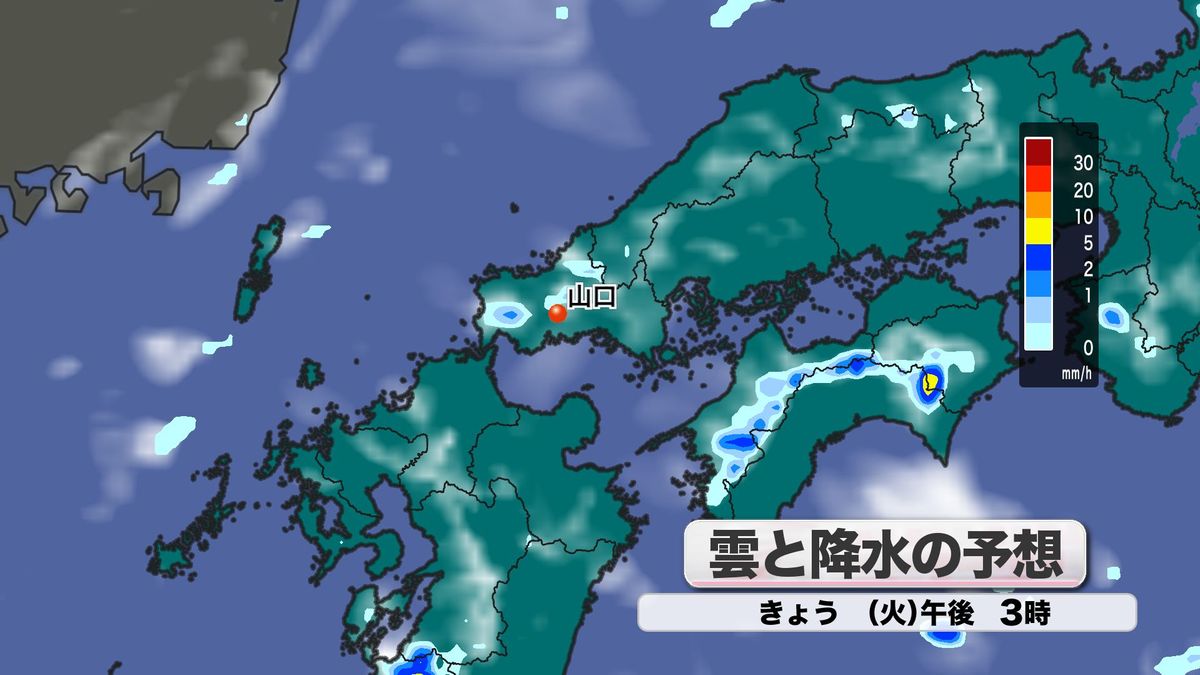 雲と降水の予想