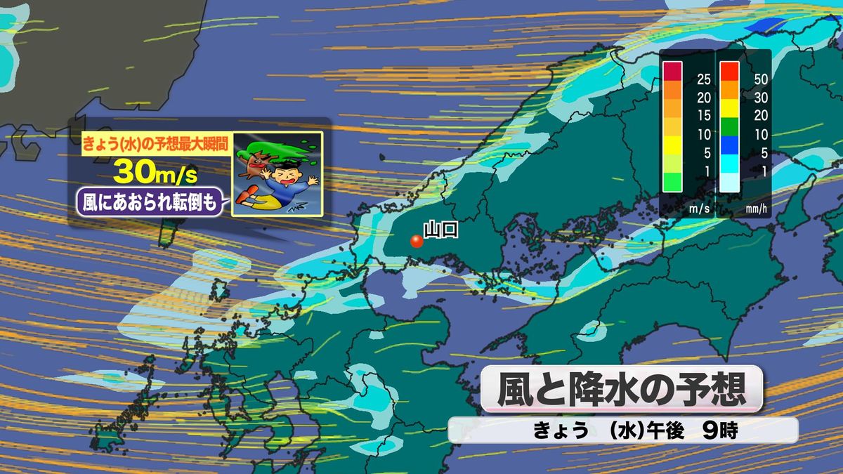 風と降水の予想