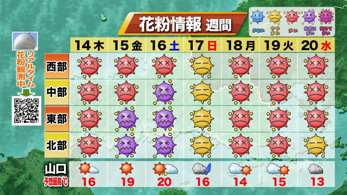 週間花粉情報