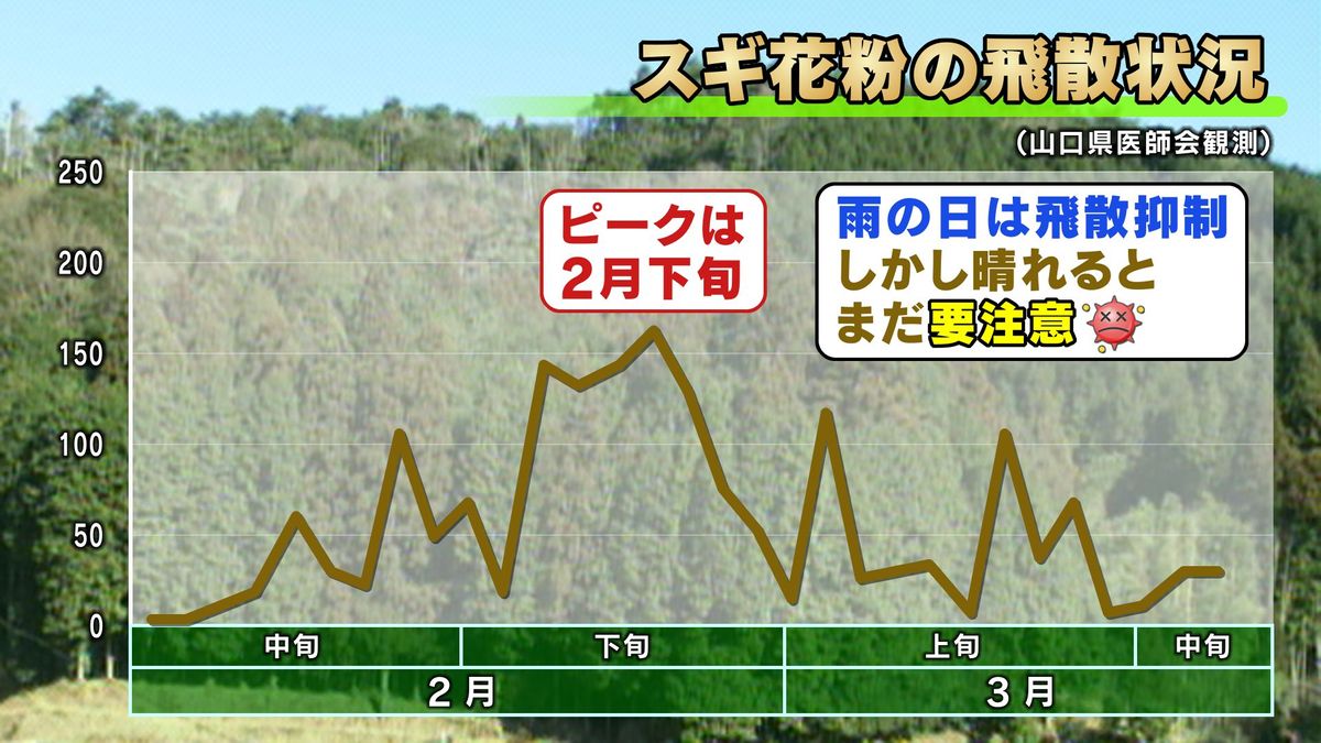 スギ花粉の飛散状況