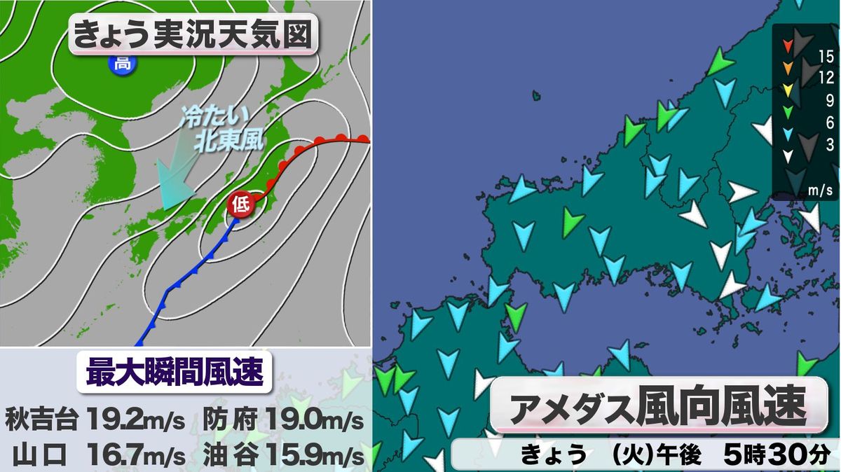 9日(火)の風の様子