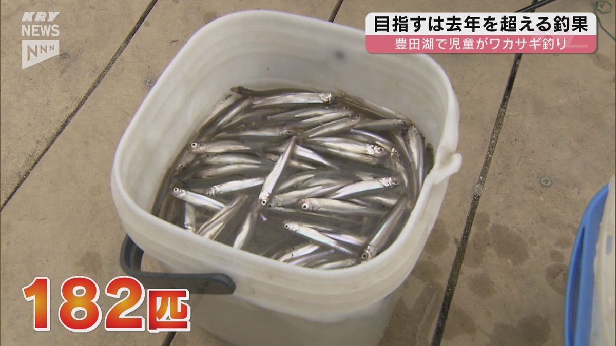 下関の豊田湖で児童がワカサギ釣りに挑戦！釣果は去年を大きく上回る182匹