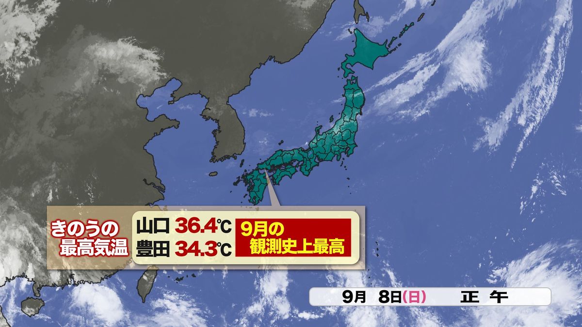 きのう8日(日)の最高気温