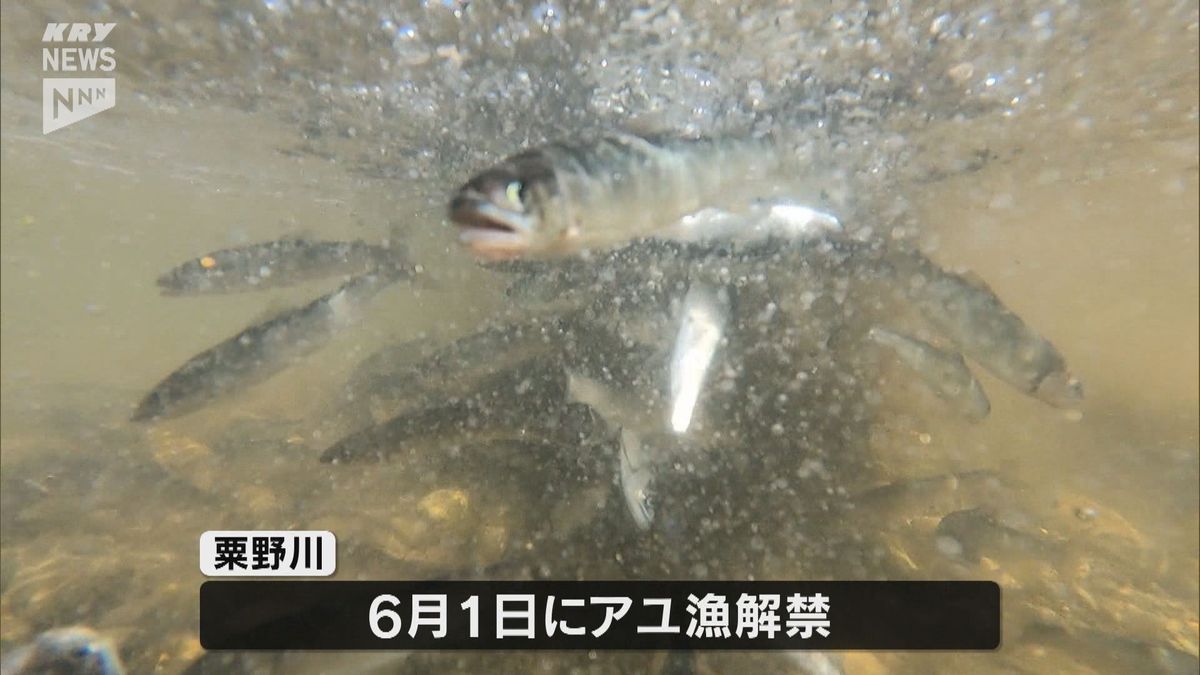 「アユさん元気でね」子どもたちがおよそ3万匹のアユの稚魚を放流…下関市豊北町の粟野川