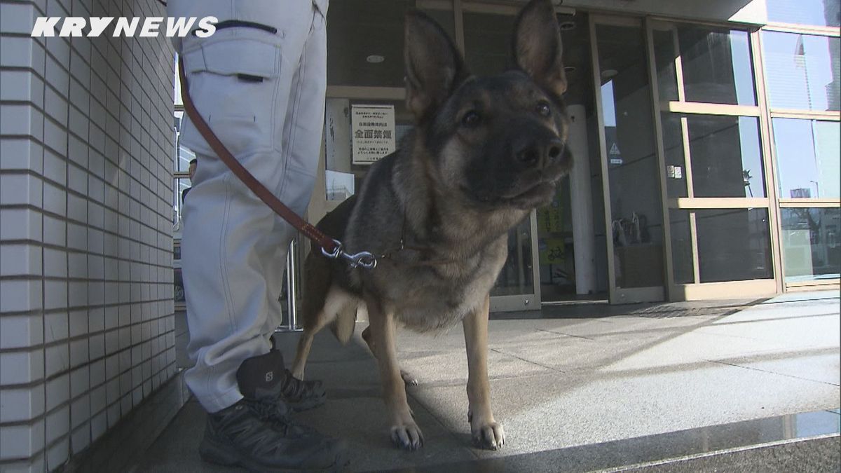 お手柄！副賞はおやつのジャーキー　行方不明者発見の警察犬に感謝状～山口・下関警察署～