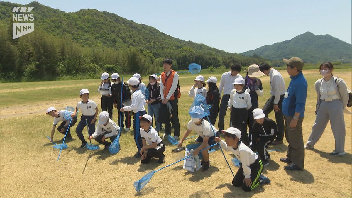 「いまの自然を残すためには？」防府・佐波川で生き物や植物を観察