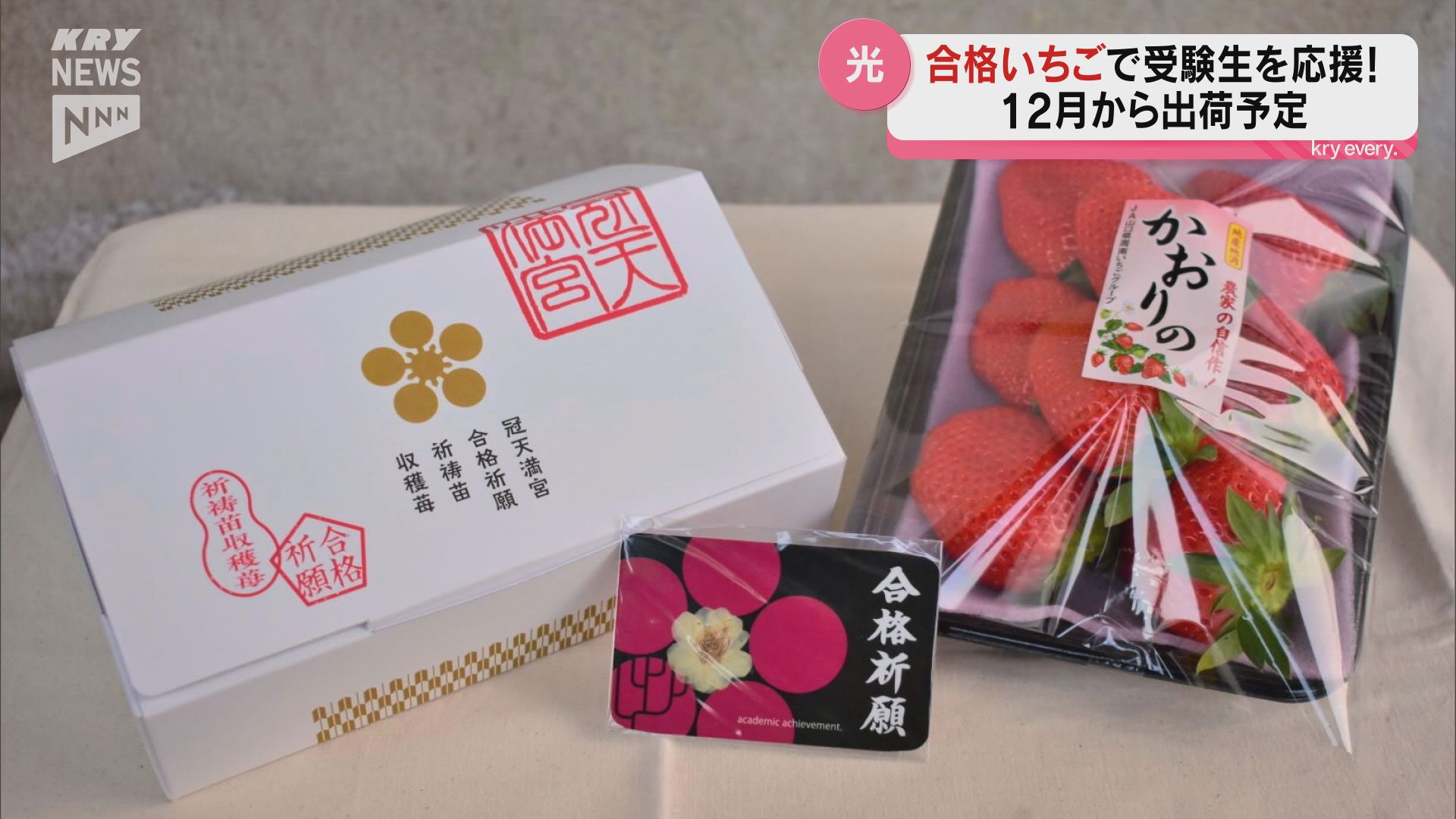 受験生へ届け、勝利の味！「合格いちご」苗を光市で祈祷（2025年9月2日