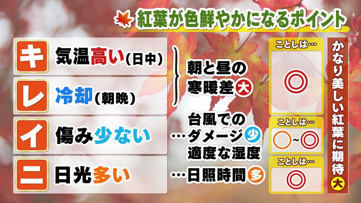 【天気のミカタ】今年の紅葉は特に「キ・レ・イ・ニ」!? 山口県の紅葉シーズンの見通しは…