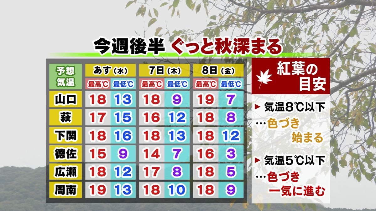 【山口天気 夕刊11/5】一気に晩秋らしい肌寒さへ…深まる秋に合わせて服装選びを　今週後半は紅葉を加速させる冷え込みも