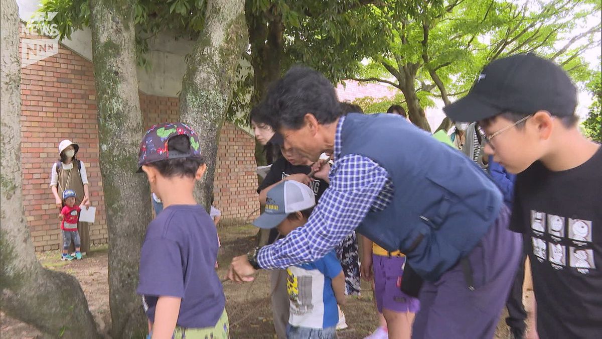 維新公園で昆虫教室 身近な生き物から分かる地球環境の変化