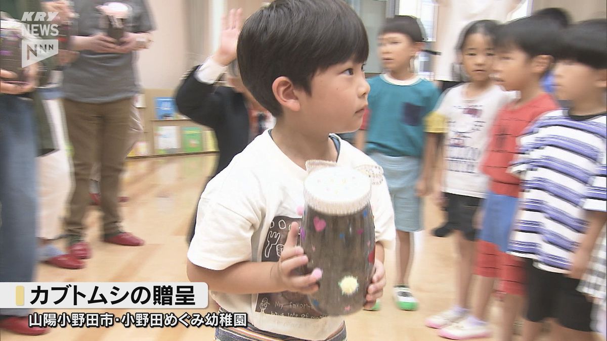 いのちの大切さを学んでほしい…園児たちにカブトムシのさなぎ贈る