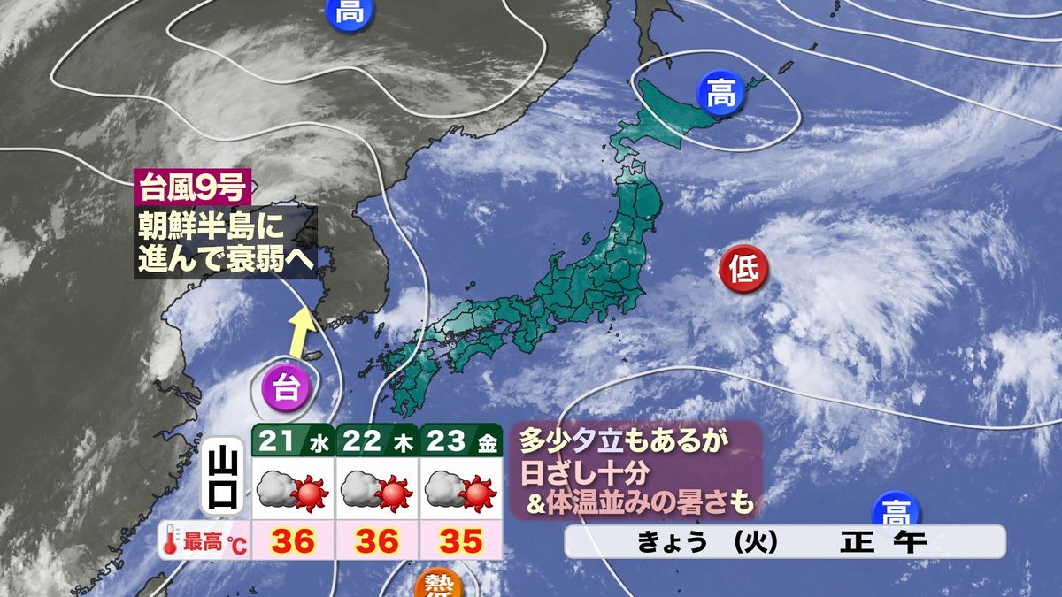 気圧配置と今後の見通し