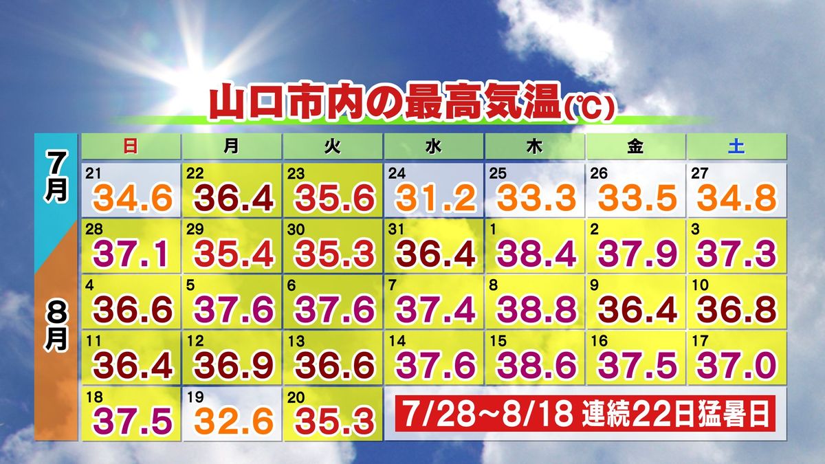 山口市内の最高気温