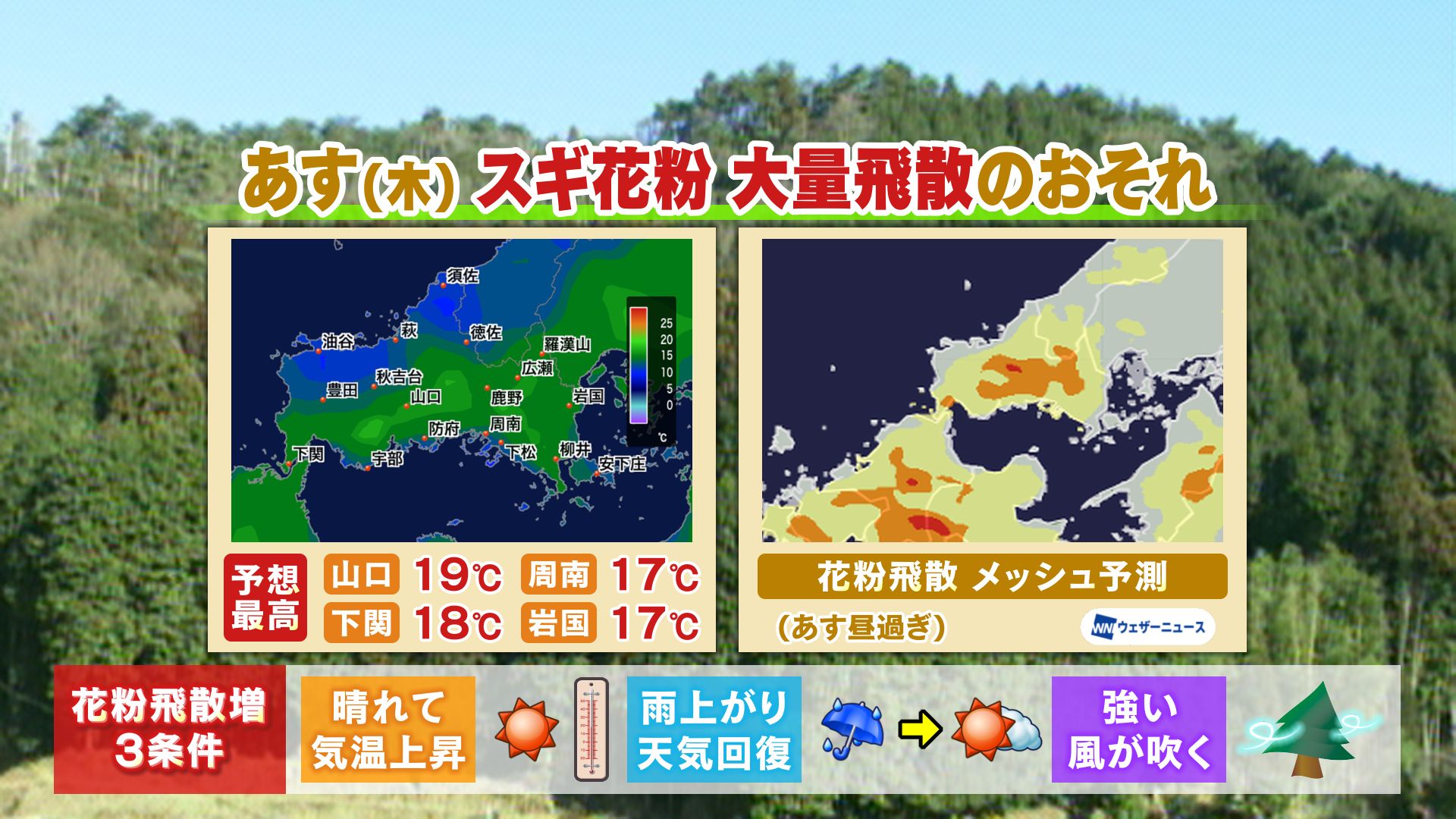 山口天気 夕刊2/25】あす26日(木)はスギ花粉“極めて多い” 花粉シーズン