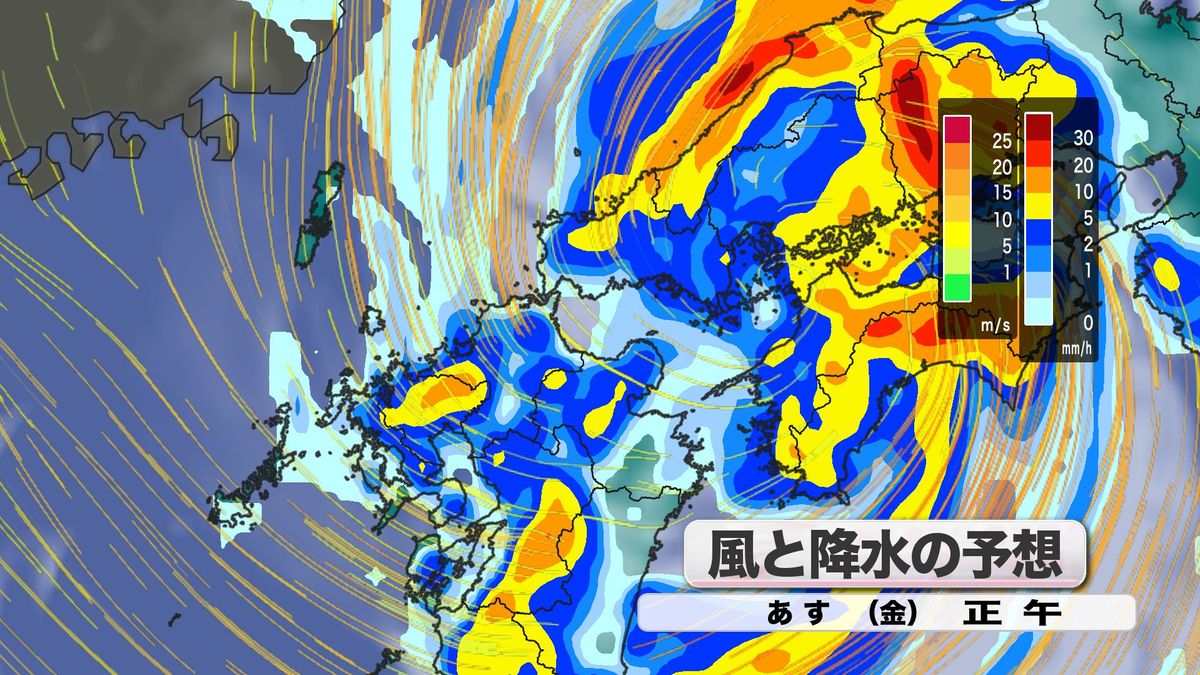 風と降水の予想