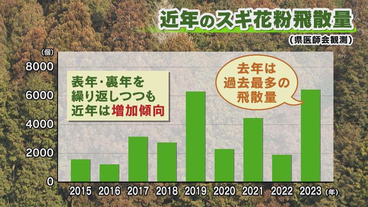 近年のスギ花粉飛散量