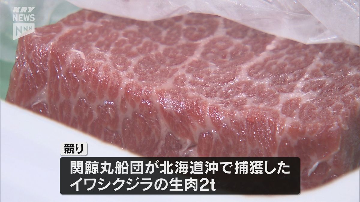 尾の身がキロ当たり20万円！新捕鯨母船「関鯨丸」捕獲のイワシクジラ初競り