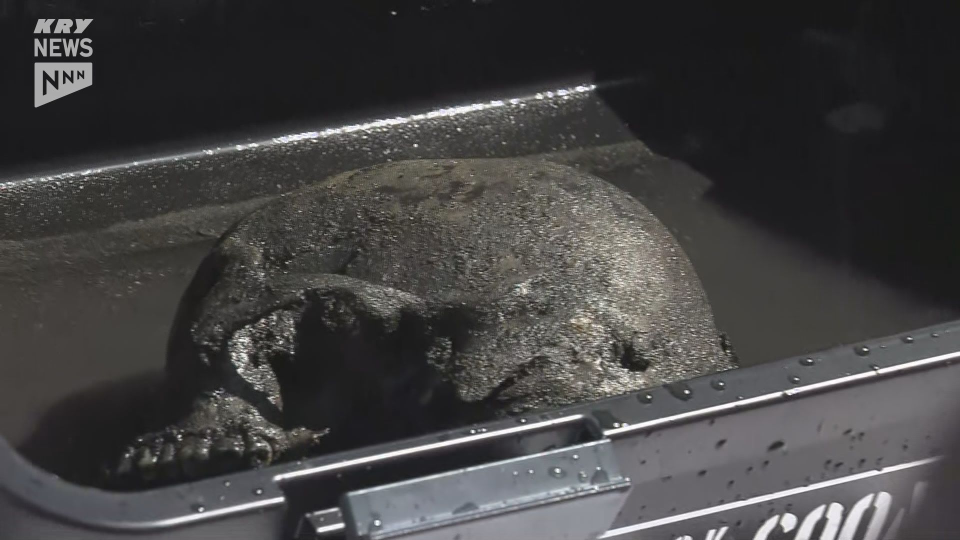 新たに人の頭蓋骨のようなものを回収…戦時中183人が犠牲になった旧長生