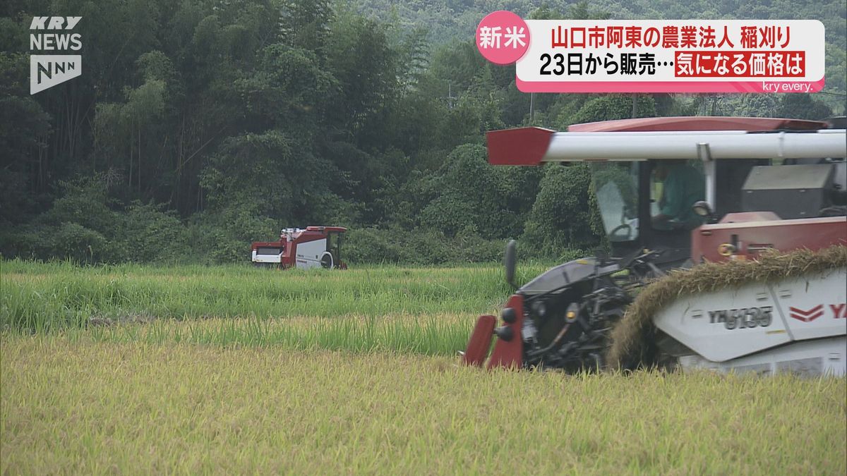新米の価格は玄米30キロで1万8000円 県内有数の米どころ山口市 