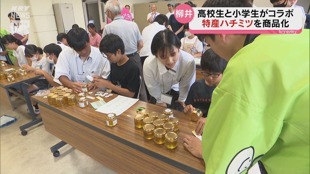 柳井市の高校生と小学生が協力！自分たちが採ったハチミツを商品化！