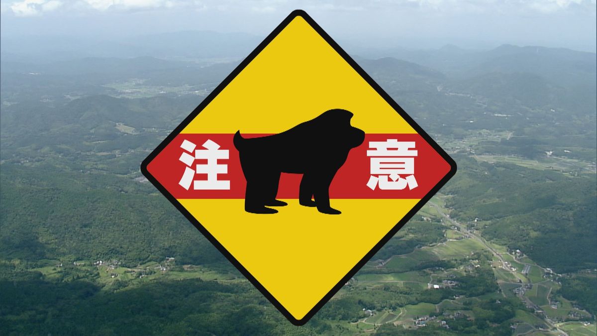 Monkey scratches man in residential area of Shunan, Japan