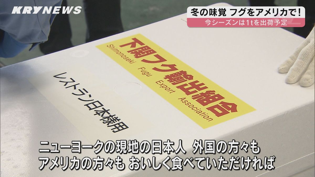 下関の冬の味覚がＮＹへ！今シーズンのトラフグ第１便出荷