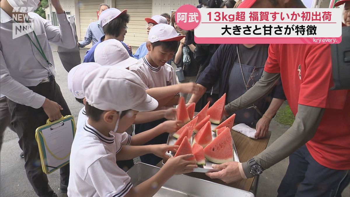 糖度13度超えの甘さ!阿武町特産「福賀すいか」が今シーズンの出荷スタート