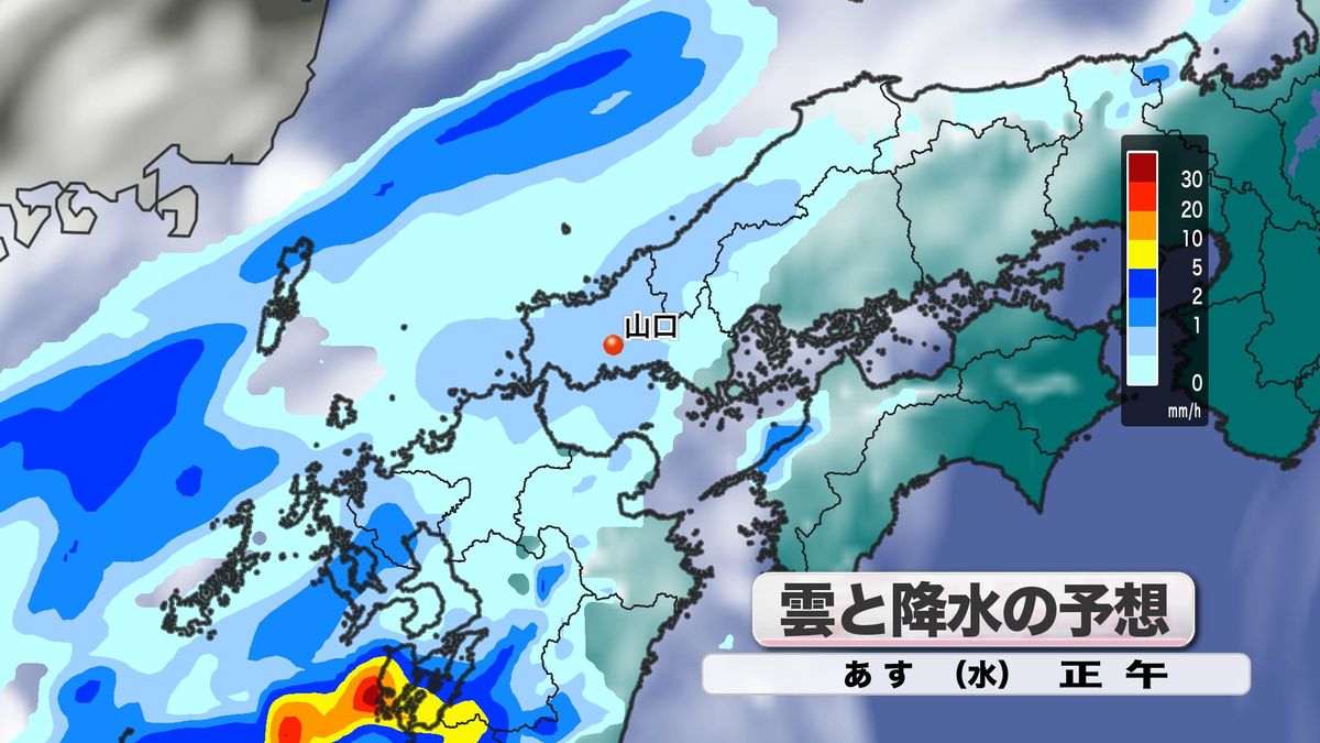 雲と降水の予想