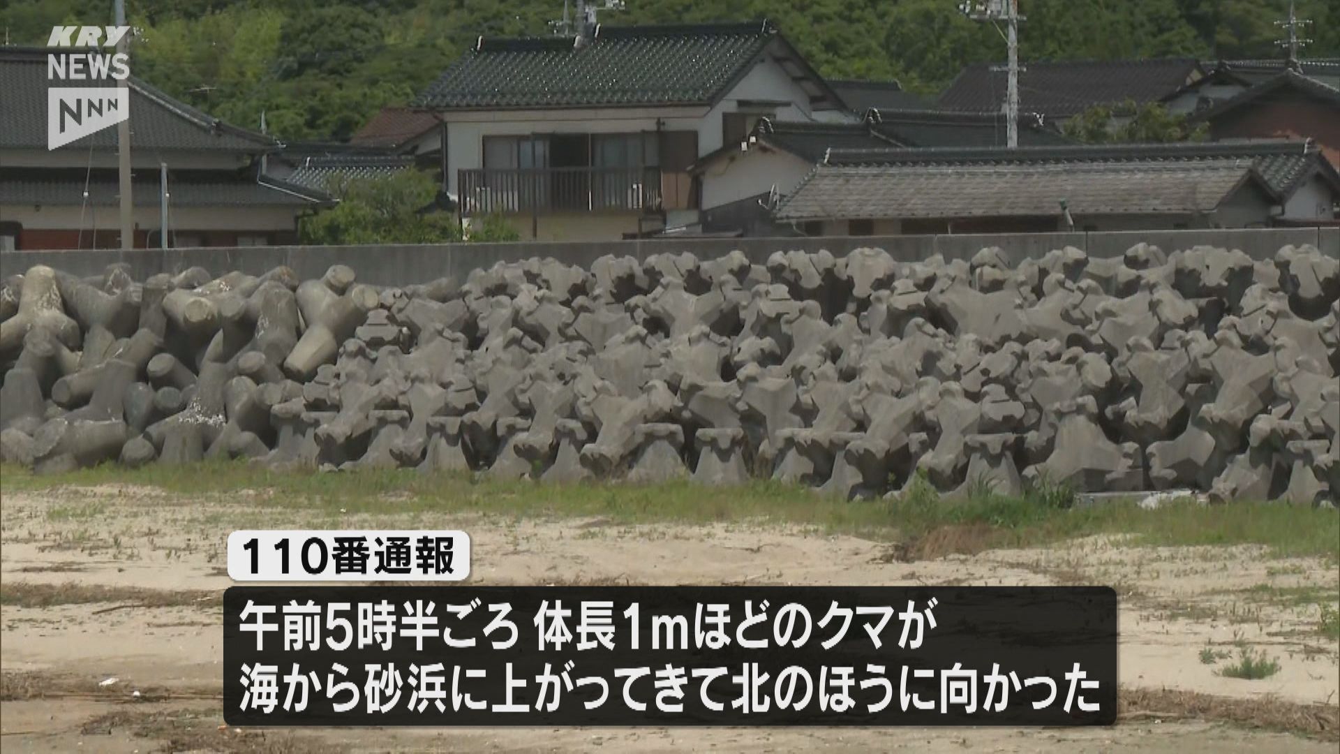 クマが海から上がってきて北に向かった」山口市秋穂付近でクマの目撃