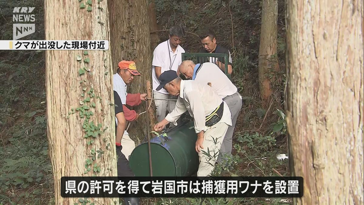 山口県岩国市で70代男性がクマに襲われ重傷　県はクマ出没警報を発令