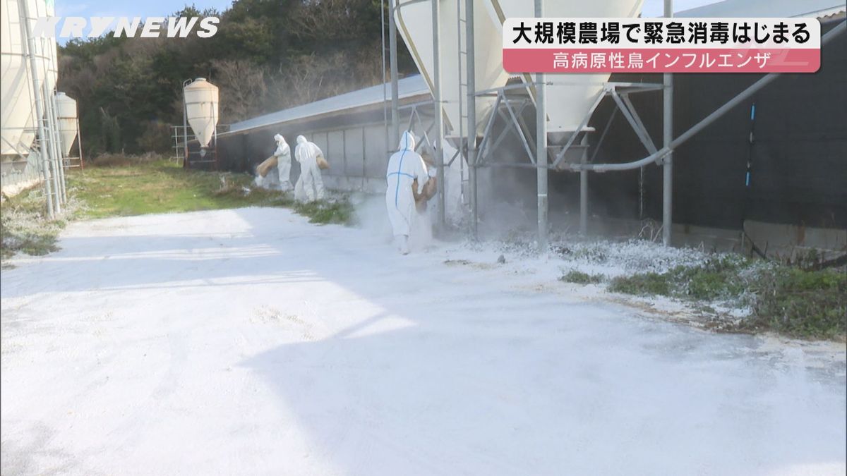 大規模農場で緊急消毒…防府の養鶏場での鳥インフルエンザ確認を受け