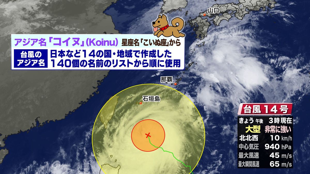 台風14号は大型の台風ですが、名前は「コイヌ」