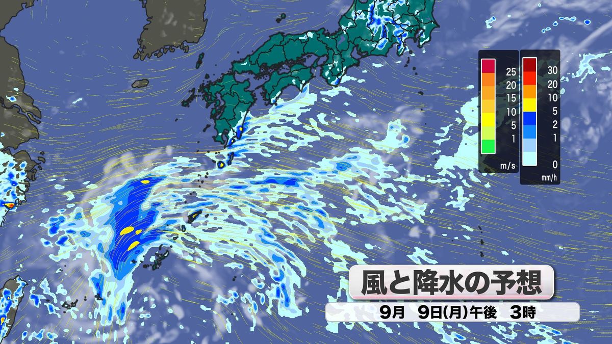 風と降水の予想