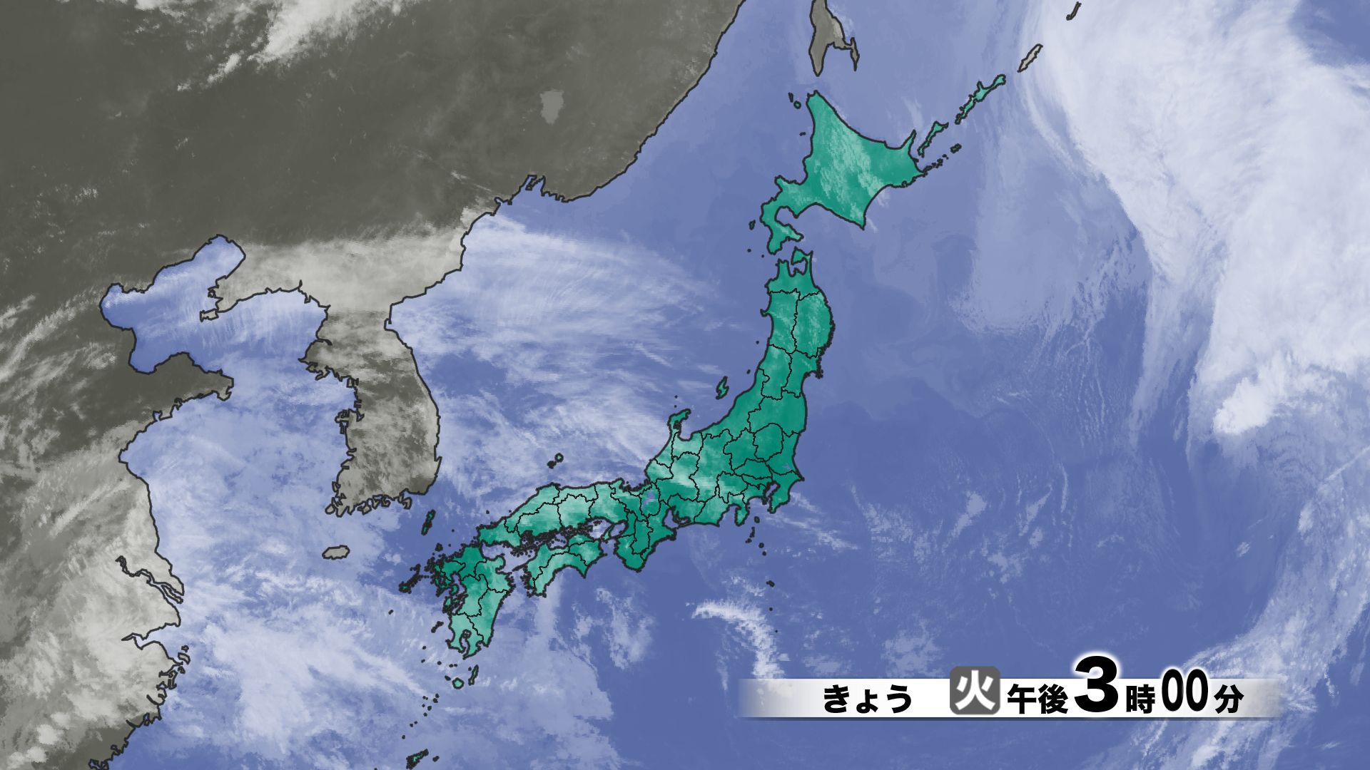 山口天気 夕刊3/24】サクラが開花後の冷たい雨…あす25日(水)は雨傘活躍