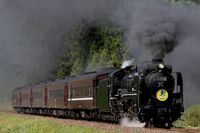 SLやまぐち号】D51蒸気機関車の修理完了！通常運行へ復帰・原因は軸と