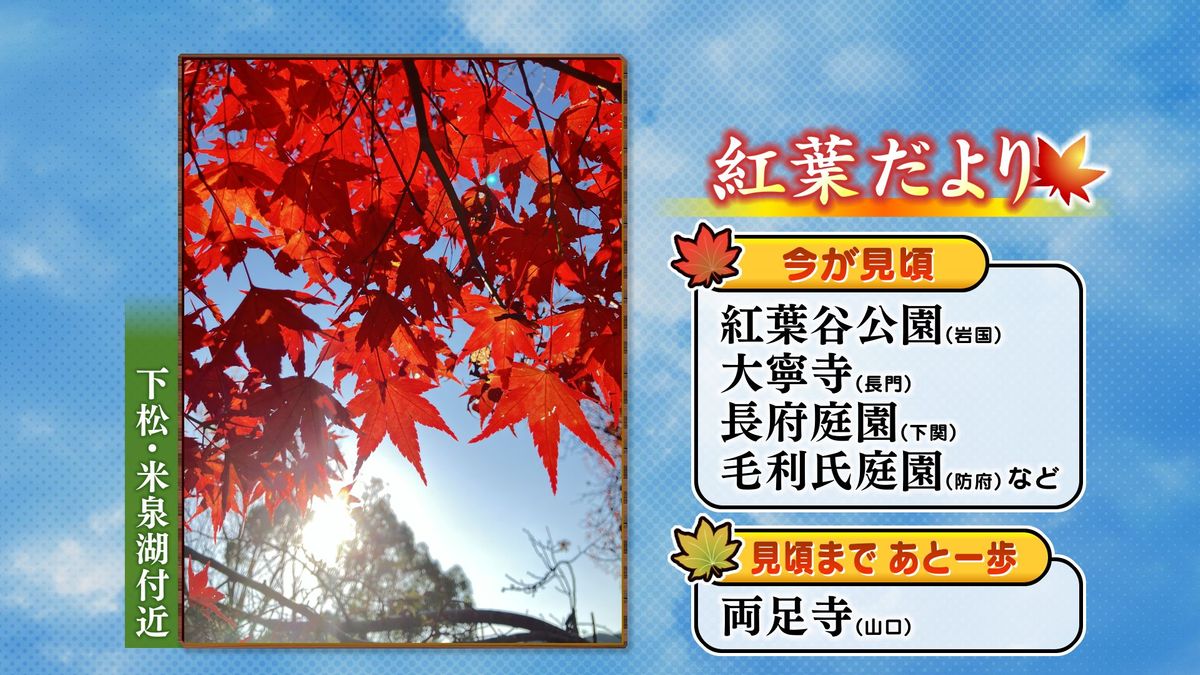 各地の紅葉情報