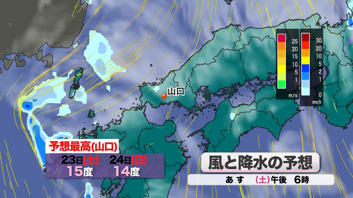 風と降水の予想