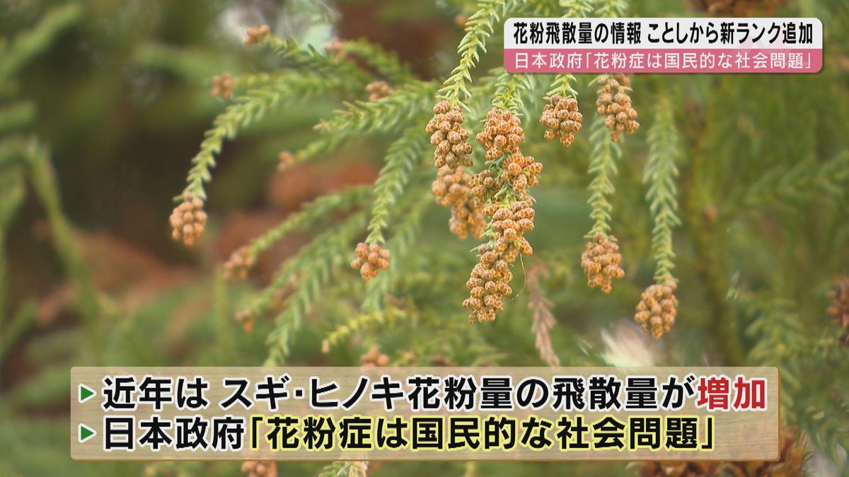 日本政府「花粉症は国民的な社会問題」