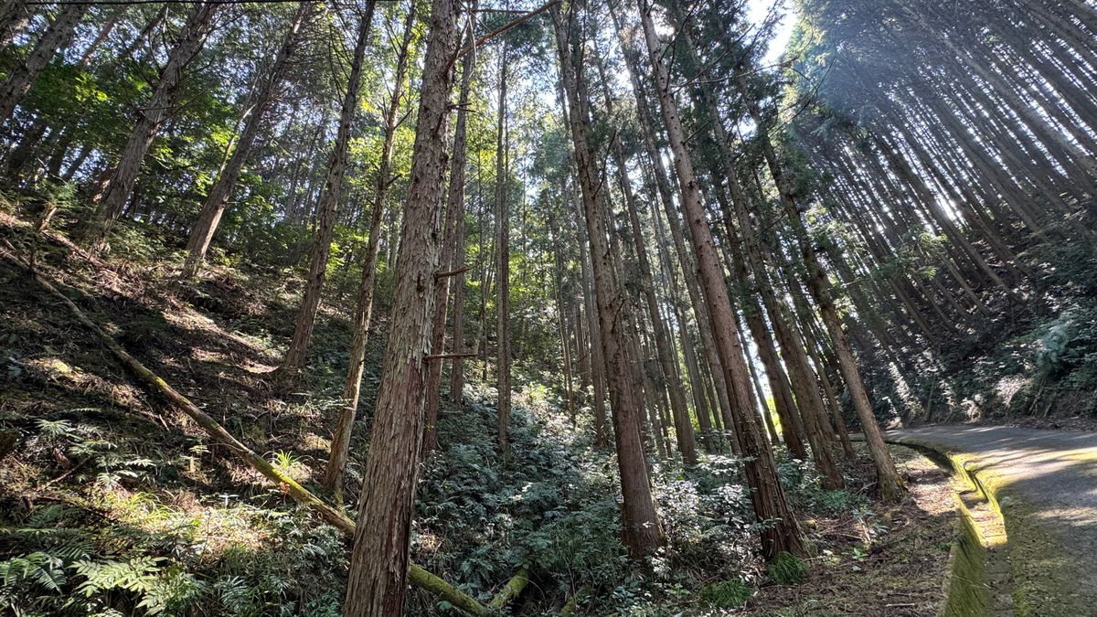 岩国市本郷町　70代男性がクマに襲われ左手首骨折などの重傷