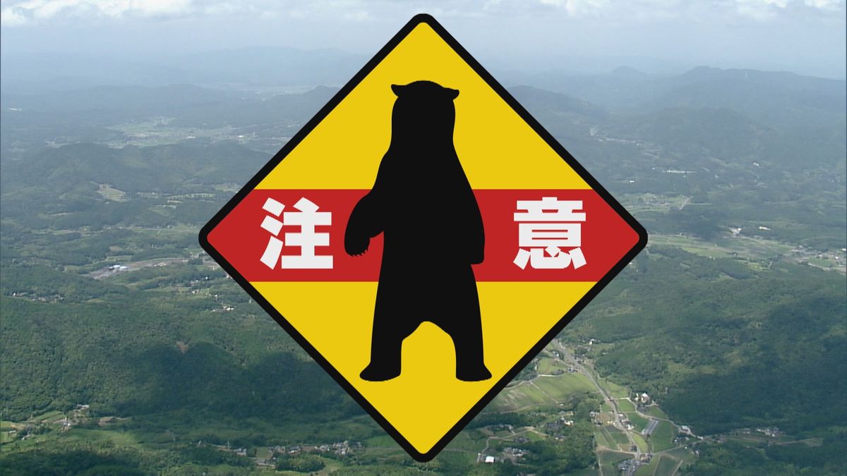 クマが県道を横断し山へ 岩国市本郷町でクマの目撃情報 体長は1メートルほどか