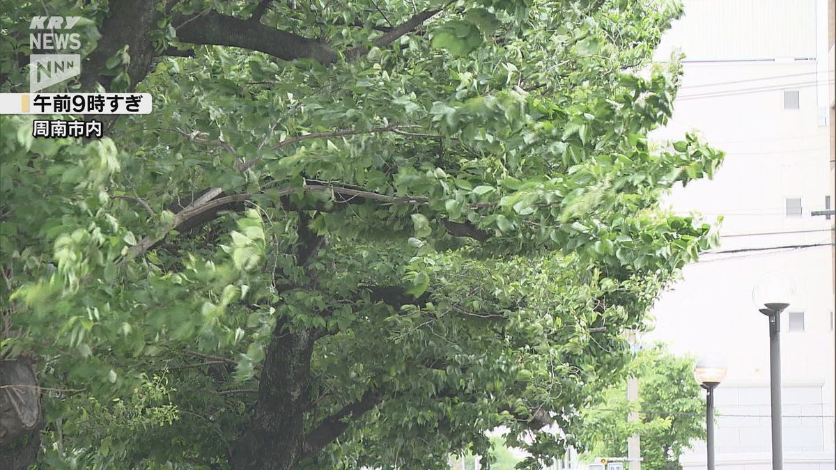 山口県の日本海沿岸に「暴風警報」午後は雨、風ともに激しさ増す 交通機関への影響も