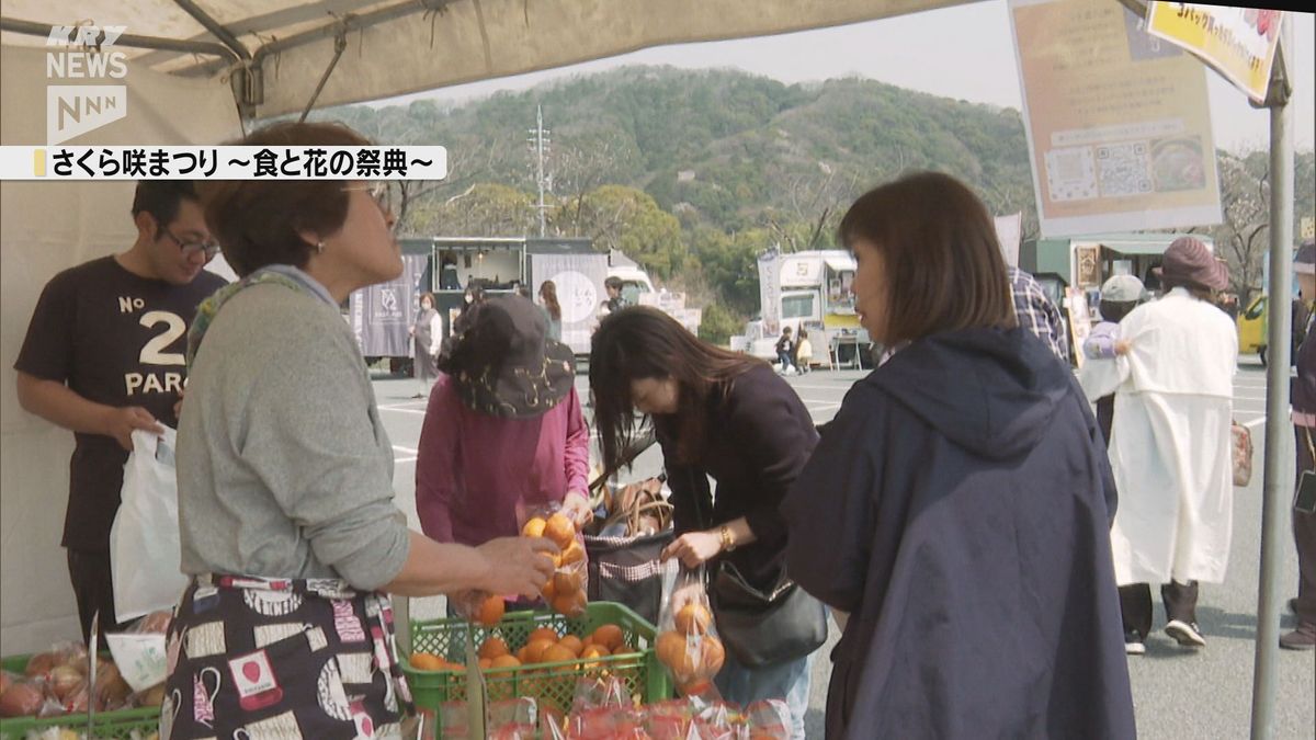 防府天満宮で「さくら咲まつり」開催 グルメやステージに家族連れ 