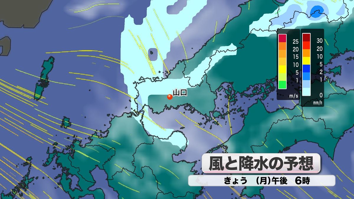 風と降水の予想