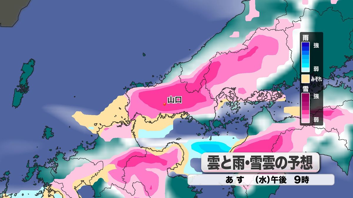 雲と雨・雪雲の予想